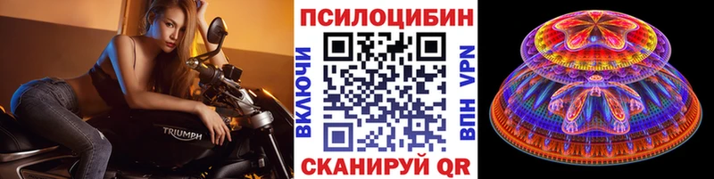 где купить Шарыпово Псилоцибиновые грибы Magic Shrooms